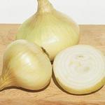 Onion Yellow Granex Onion Plant