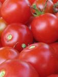 Tomato Red Cherry Large