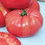 Tomato Brandywine