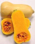 Squash Butternut