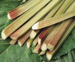 Rhubarb Victoria