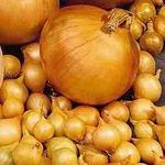 Onion Yellow Onion Set