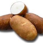 Potato Norkotah Russet