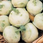 Kohlrabi Early White Vienna