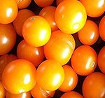 Tomato Sun Sugar