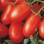 Tomato La Roma