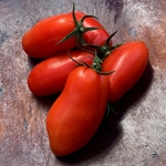 Tomato San Marzano