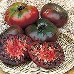 Tomato Cherokee Purple Heirloom