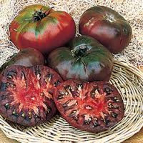 Tomato Cherokee Purple Heirloom Goode Greenhouses