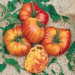 Tomato Rainbow Heirloom
