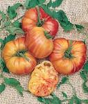 Tomato Mr. Stripey Heirloom