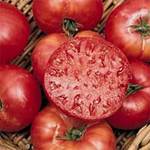 Tomato Mortgage Lifter Heirloom